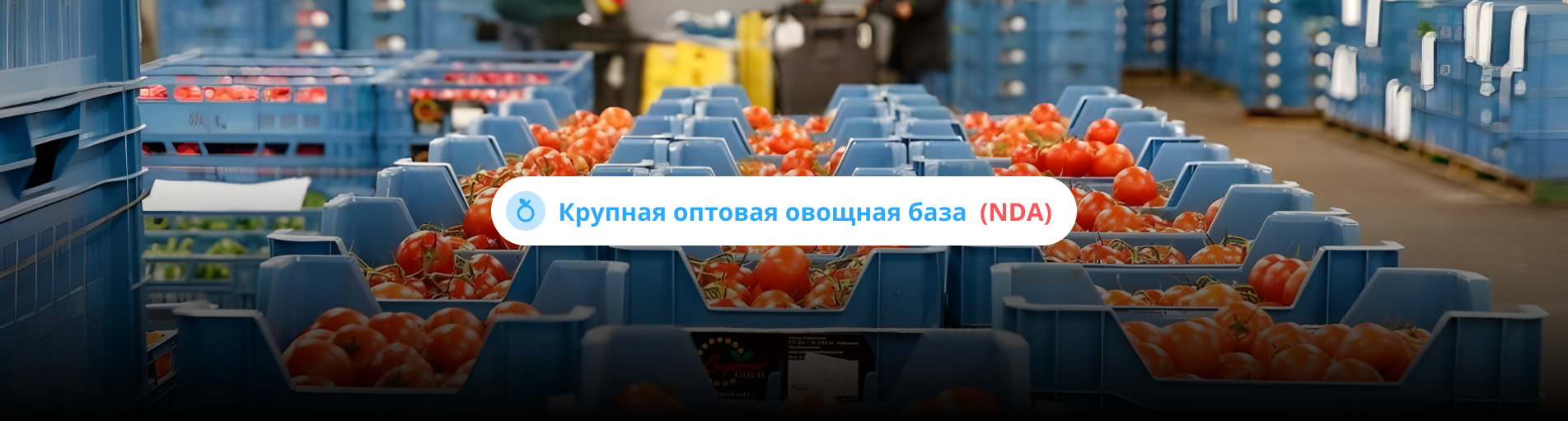 управление репутацией для крупной оптовой овощной базы в москве (nda)